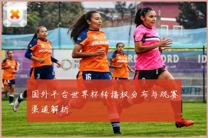 国外平台世界杯转播权分布与观赛渠道解析